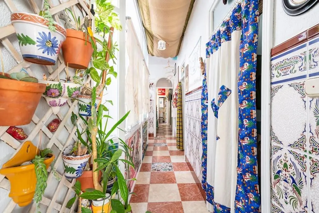 民宿 Habitaciones La Pepa 加的斯